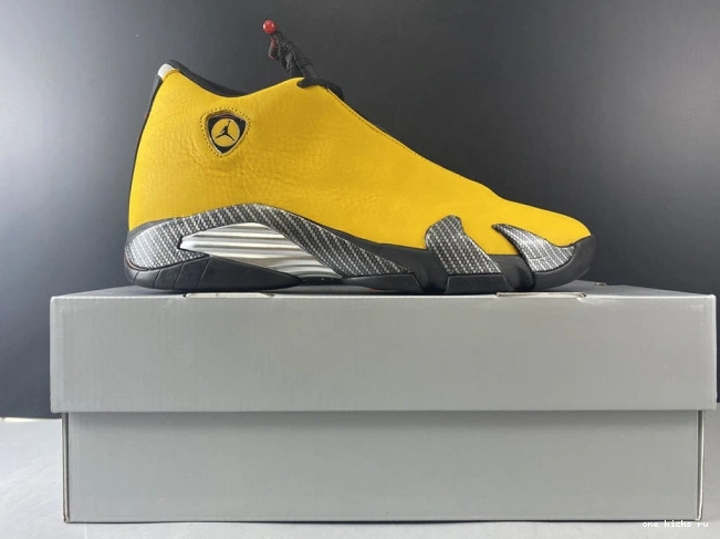 Chep Onekick AIR BQ3685-706 JORDAN 14 GOLD UNIVERSITY RETRO 0529